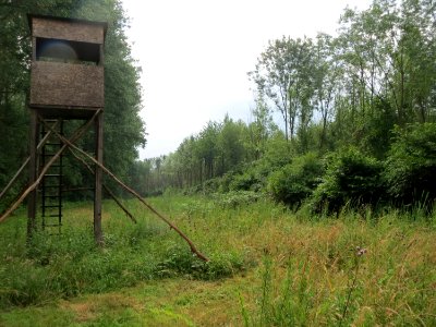 20150627Geißböckelgraben2
