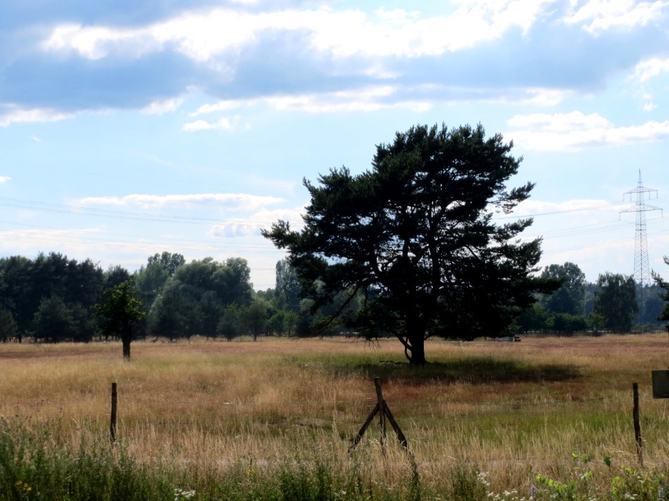 20150627Gewann_Frankreich-Wiesental4