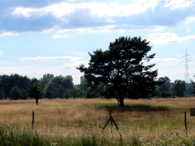 20150627Gewann_Frankreich-Wiesental4
