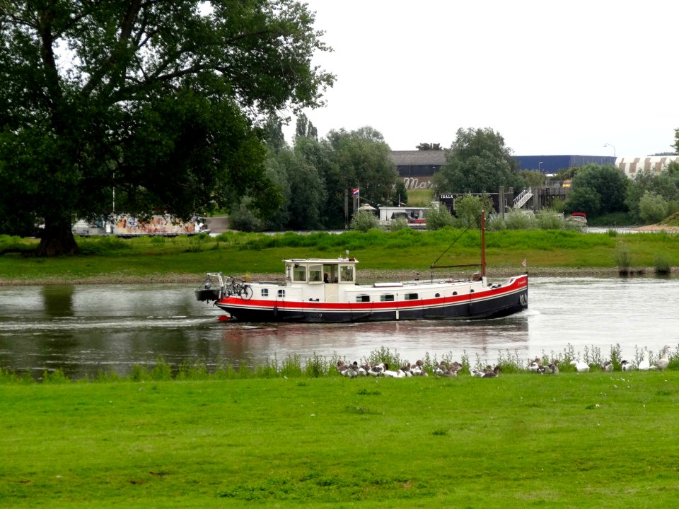 20150624_IJssel_gezien_vanaf_de_Vliegendijk