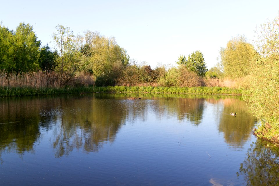 20150510_Hönower_Weiherkette_-_Untersee_by_sebaso_IMG_4078