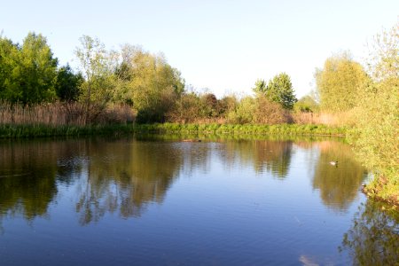 20150510_Hönower_Weiherkette_-_Untersee_by_sebaso_IMG_4078