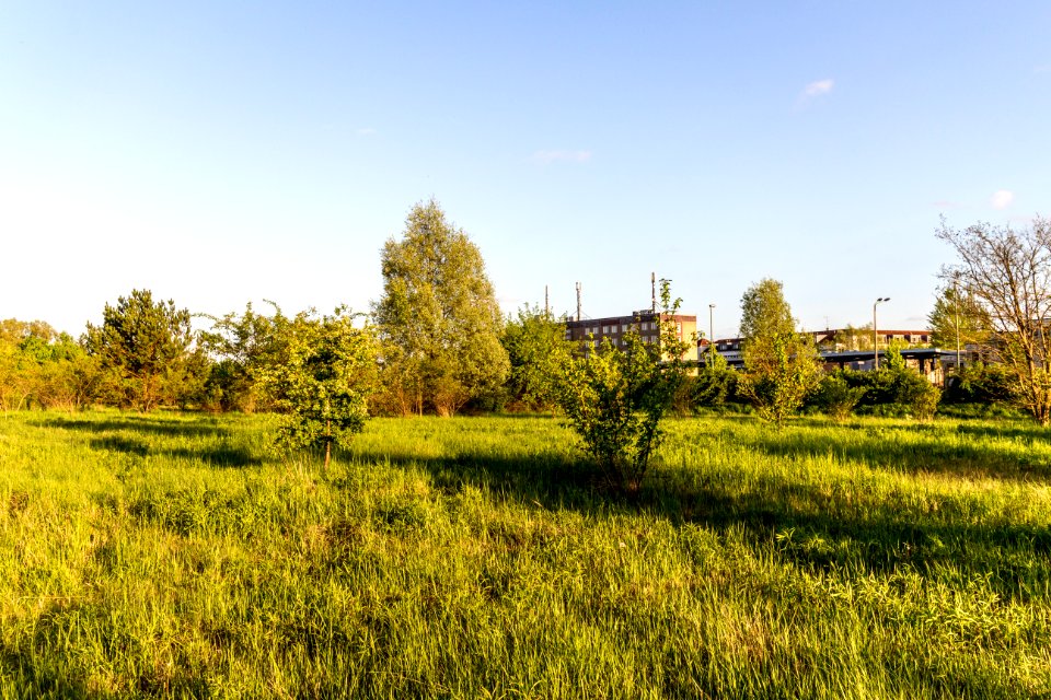 20150510_Hönower_Weiherkette_-_U-Bhf_Hönow_by_sebaso_IMG_4055