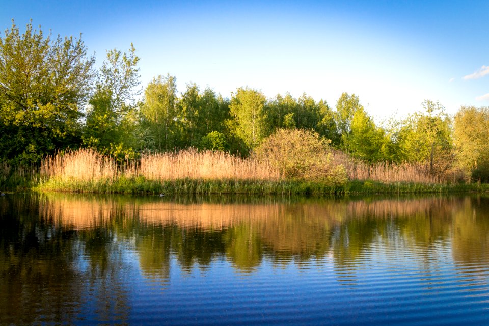 20150510_Hönower_Weiherkette_-_Untersee_by_sebaso_IMG_4068