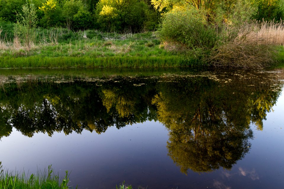 20150510_Hönower_Weiherkette_-_Untersee_by_sebaso_IMG_4096