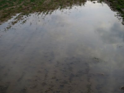 20160226Reilingen5