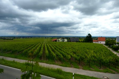 2016.06.19.120005_View_Restaurant_Das_Esszimmer_im_Ritterhof_Burrweiler