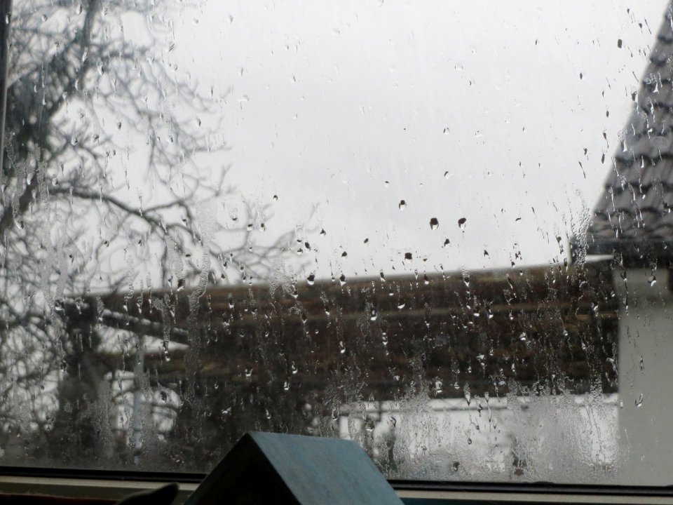 20160107Regen_Hockenheim5