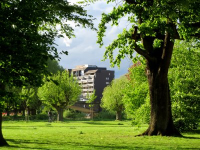 20150506Staden2
