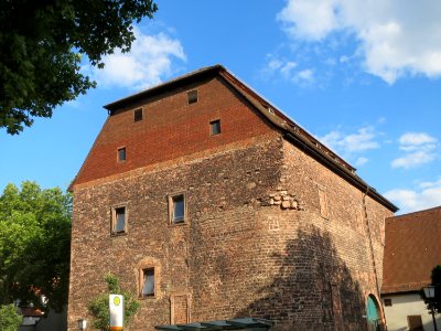 20150729Heuscheuer_Heidelberg2