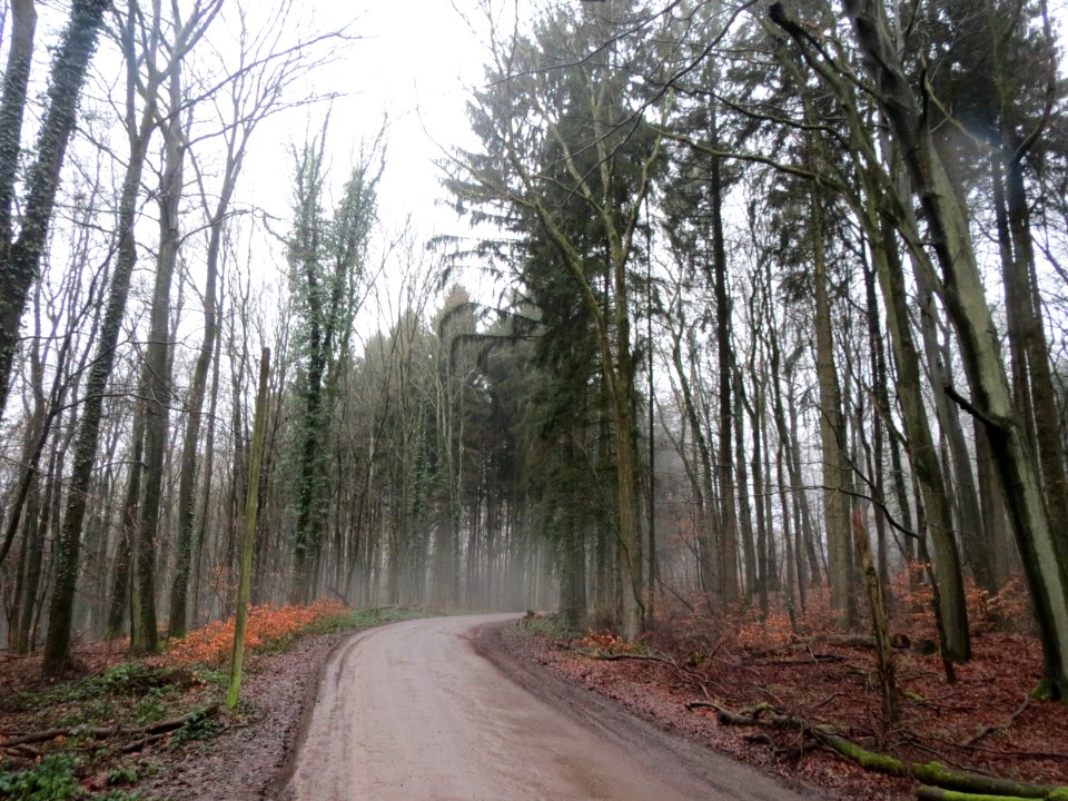 20160131Steinbachtal1