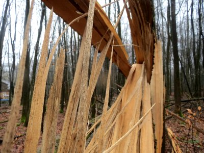 20160131Steinbachtal4
