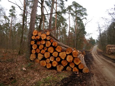 20160228Schwetzinger_Hardt3