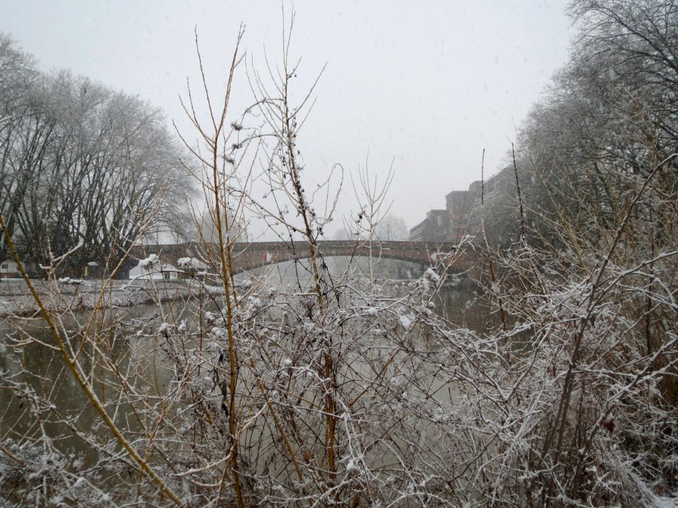 20160307Staden02