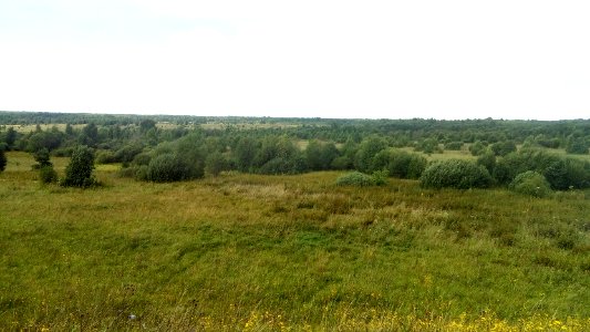 20160805_120914_Tver_Oblast