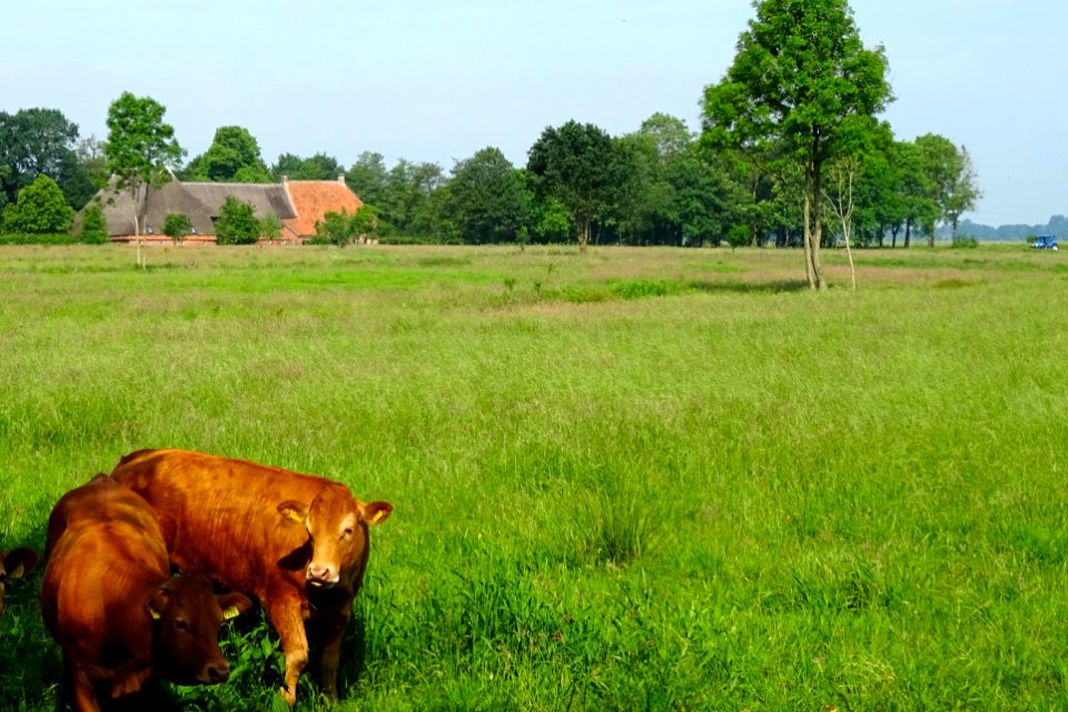 20160603_Huis_ter_Hansouwe3_Peize