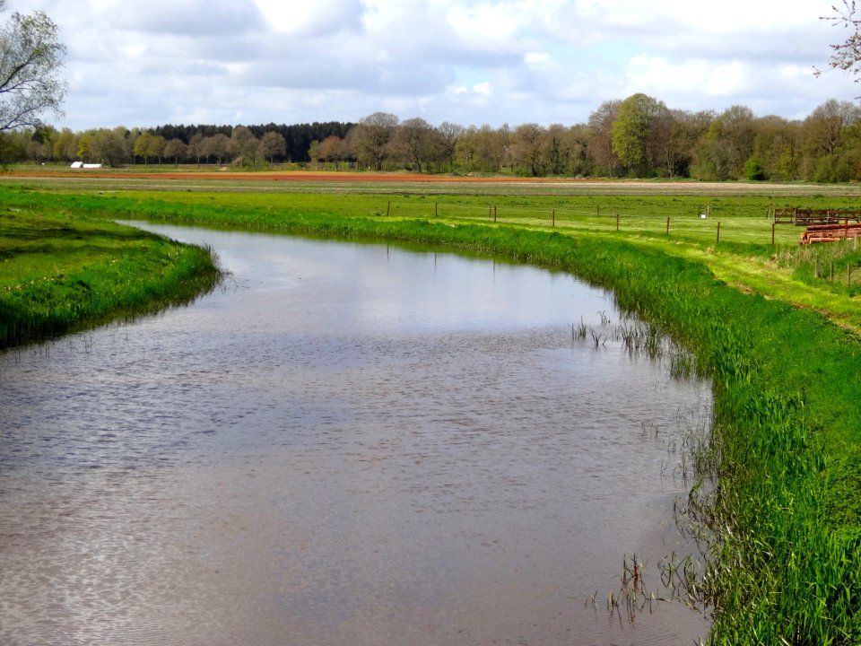 20160503_Kanaal_Buinen_Schoonoord_nabij_Bronneger1