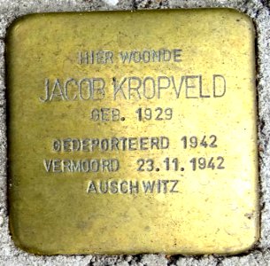 20160610_Stolpersteine_Stadskanaal_Ceresstraat18_(detail3)