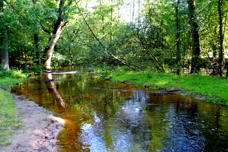 20160622_Leuvenumsche_beek_nabij_de_Zandmolen