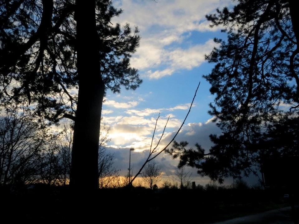 20160117Hockenheim2