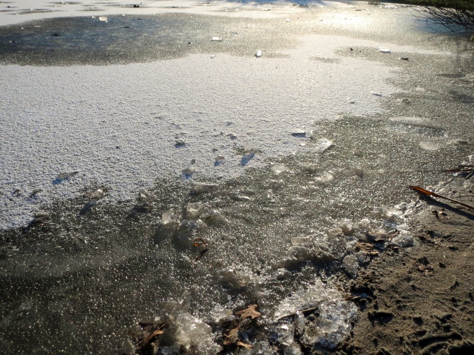 20160121Hockenheim5
