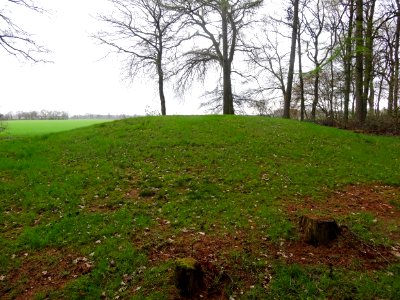20160428_Grafheuvel_Bronneger