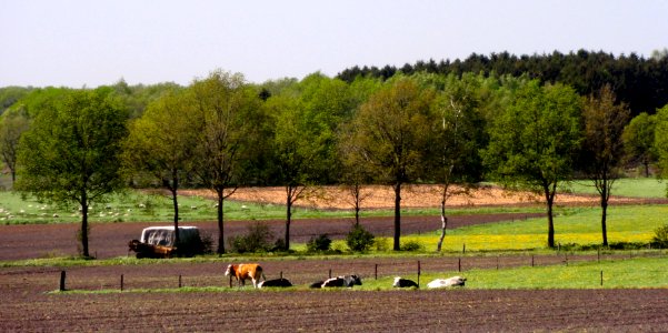 20160509_Zicht_vanaf_de_Buunerbult
