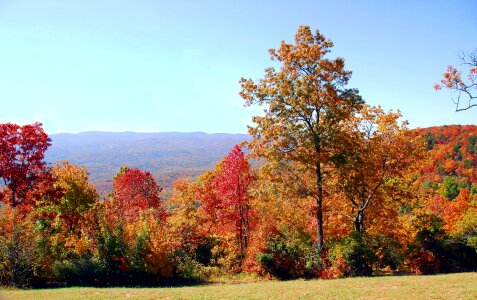 Colorful north georgia outdoors photo