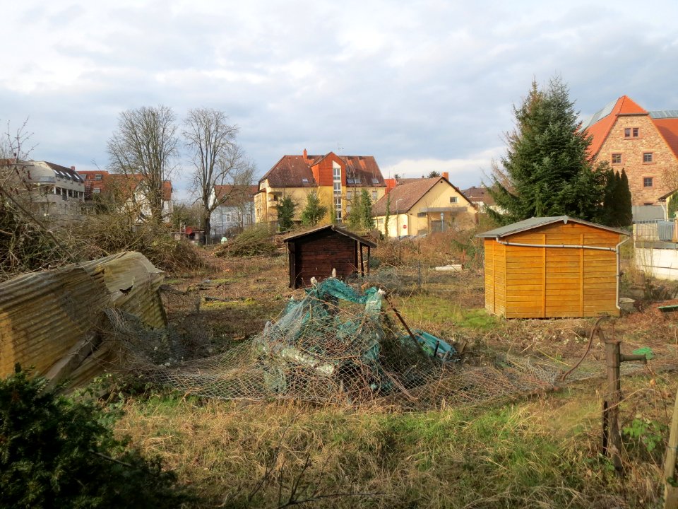 20160226Hockenheim1