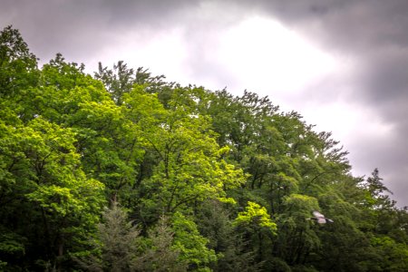 20160515_Saarufer_mit_Ente_IMG_3287_by_sebaso