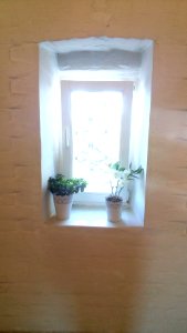 20160801_081031_Radonezh