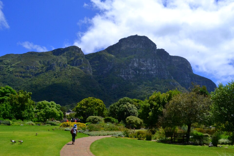 Cape town south africa botanical