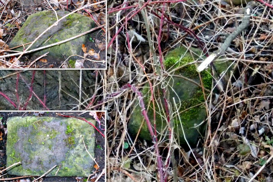 2016_Pesterwitz_Wurgwitz_Potschappel_Grenzstein