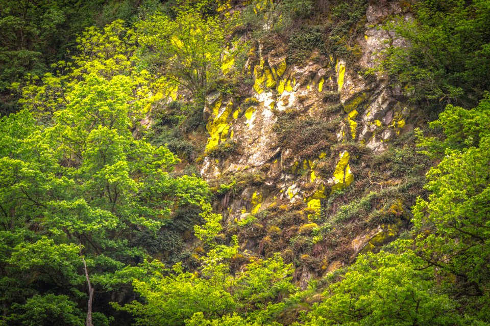 20160515_Saarufer_IMG_3338_by_sebaso