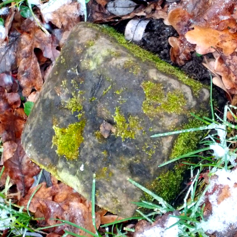 2016_Pesterwitz_Potschappel_Grenzstein_3