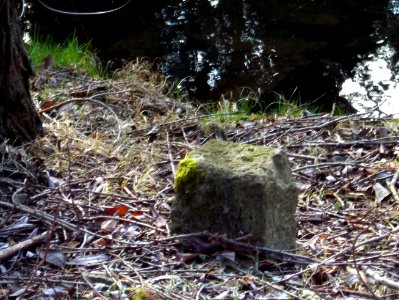2016_Zauckerode_Potschappel_Grenzstein_2