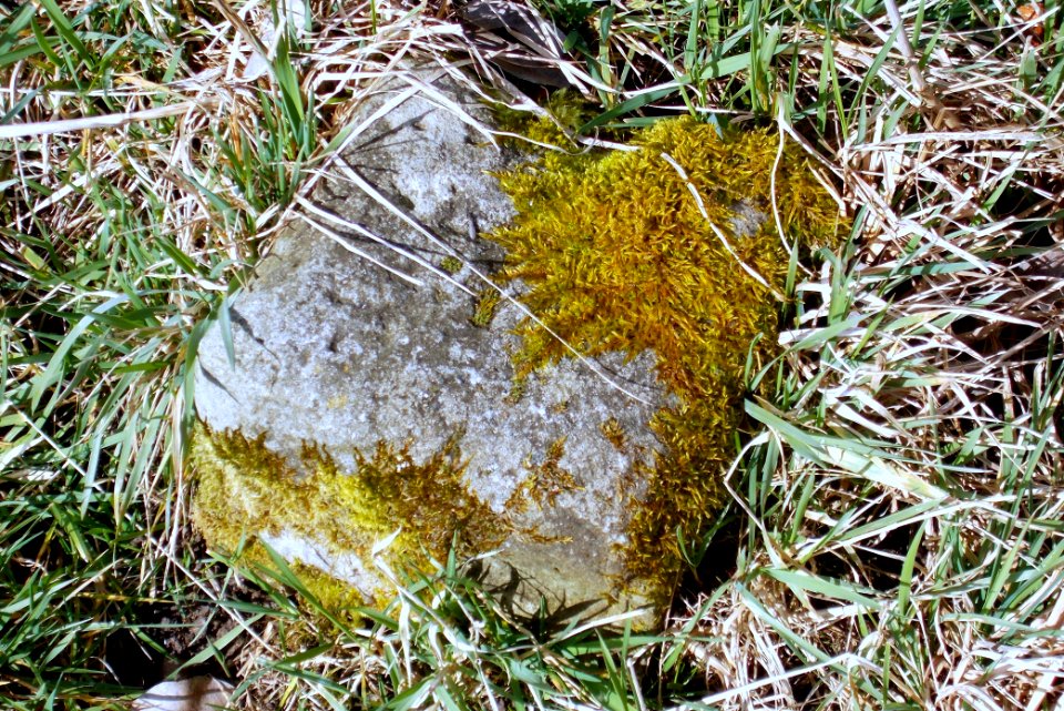 2016_Zauckerode_Grenzstein_1