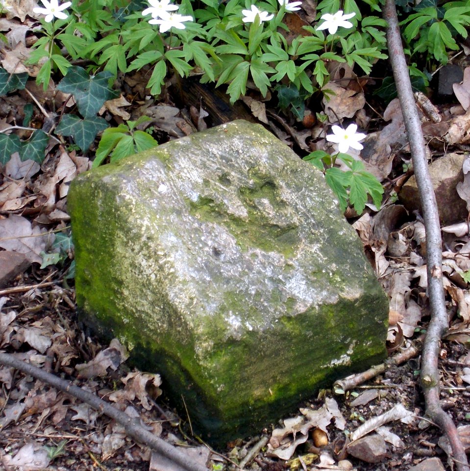 2016_Kesselsdorf_-_Oberhermsdorf_Railwaystein