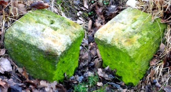 2016_Zauckerode_Potschappel_Grenzstein