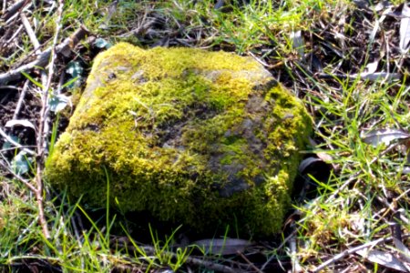 2016_Zauckerode_Potschappel_Grenzstein_4
