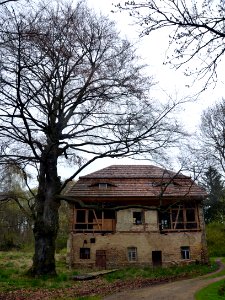 20160423_Unwürde_Rittergut_Orangerie_Rotbuche_ARB0230