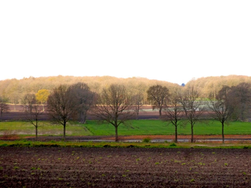 20160428_Zicht_vanaf_de_Buunerbult_naar_de_Hondsrug