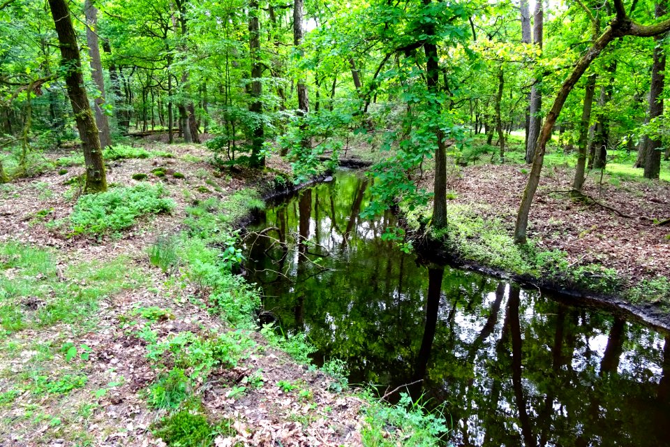 20160526_Hierdensche_Beek1
