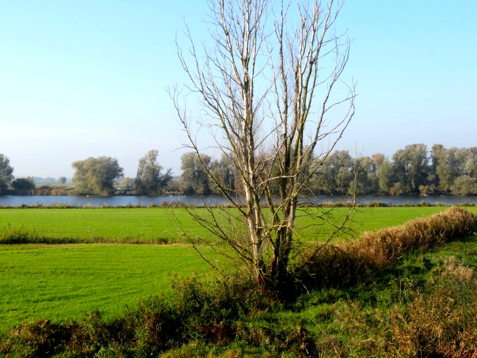 20151027_IJssel_gezien_vanaf_de_Zalkerdijk