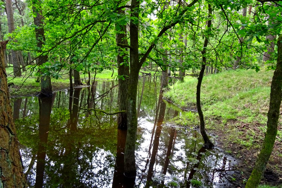 20160526_Hierdensche_Beek2