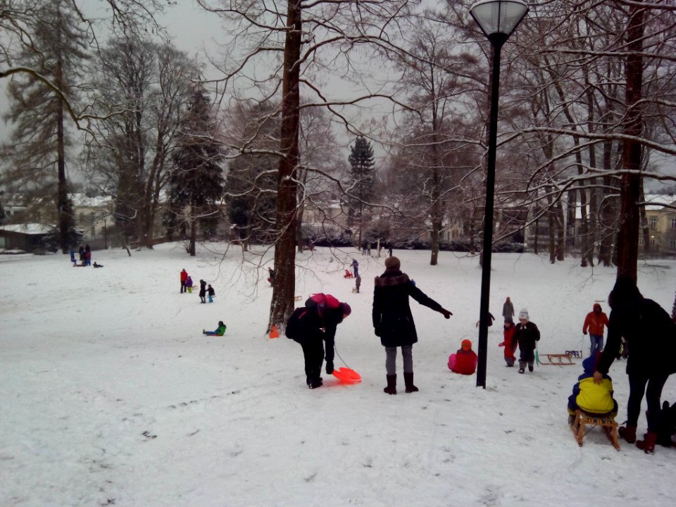 2016_-_Winter_im_Detmolder_Palaisgarten