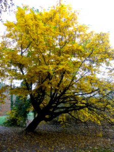 20151027_Het_Engelsche_Werk2_Zwolle