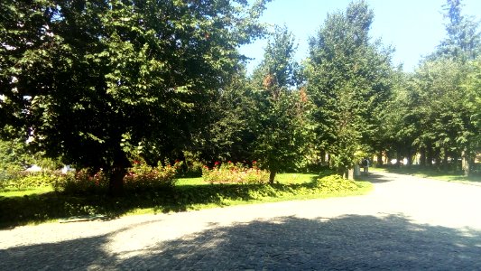 20160801_110238_Troitse-Sergiyeva_Lavra