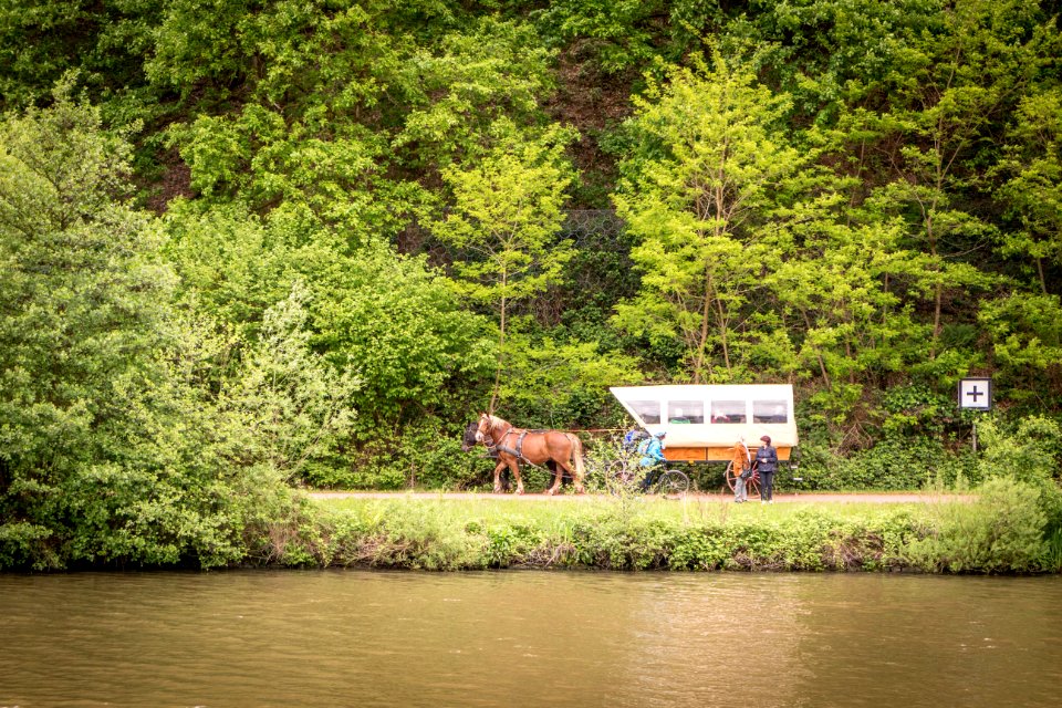 20160515_Pferdewagen_am_Saarufer_IMG_3281_by_sebaso