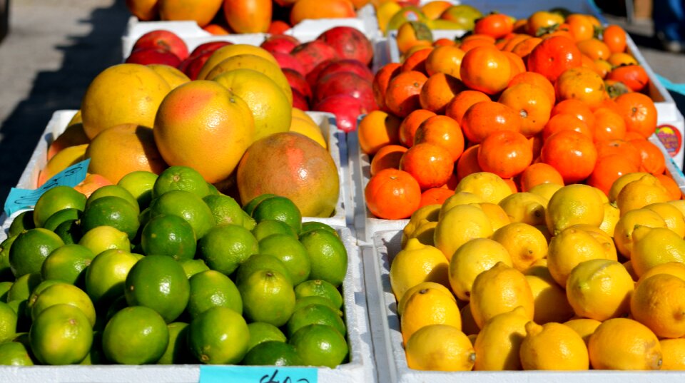 Grape fruit citrus market photo